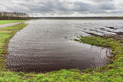BUITEN BEELD Foto: 345434