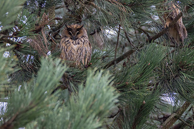 BUITEN BEELD Foto: 345444