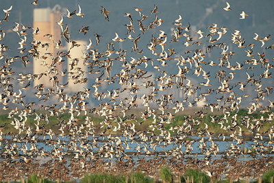BUITEN BEELD Foto: 345540