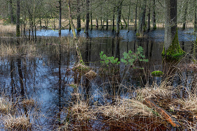 BUITEN BEELD Foto: 345600