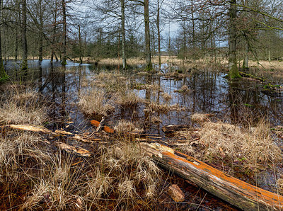 BUITEN BEELD Foto: 345601