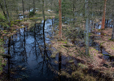 BUITEN BEELD Foto: 345602