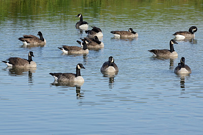 BUITEN BEELD Foto: 345665