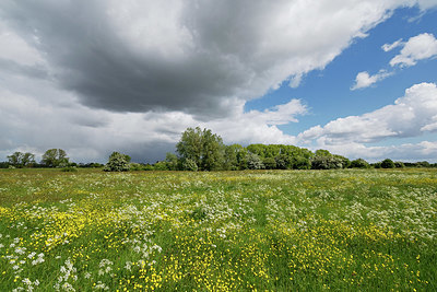 BUITEN BEELD Foto: 345667