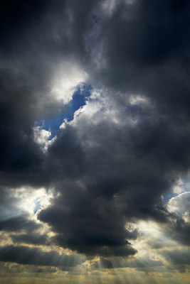 BUITEN BEELD Foto: 345739