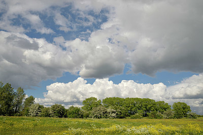 BUITEN BEELD Foto: 345750