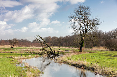 BUITEN BEELD Foto: 345756