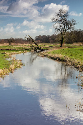 BUITEN BEELD Foto: 345757