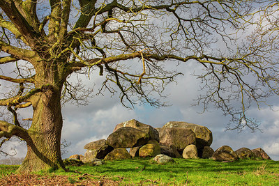 BUITEN BEELD Foto: 345760