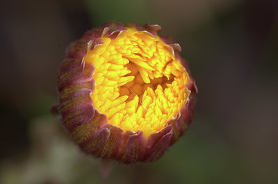 BUITEN BEELD Foto: 345769