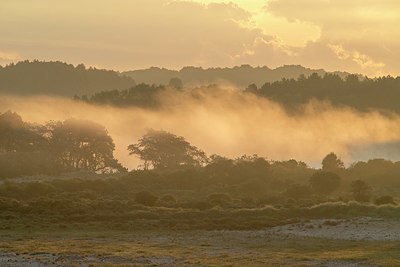 BUITEN BEELD Foto: 345785