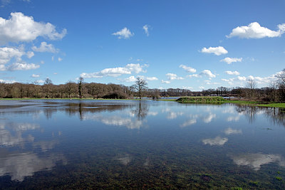 BUITEN BEELD Foto: 345789