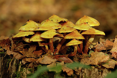 BUITEN BEELD Foto: 345821