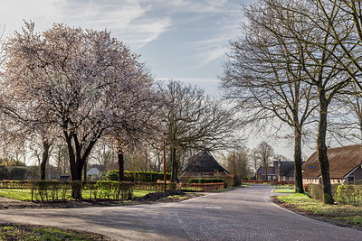 BUITEN BEELD Foto: 345826