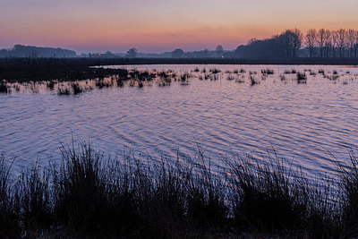 BUITEN BEELD Foto: 345836