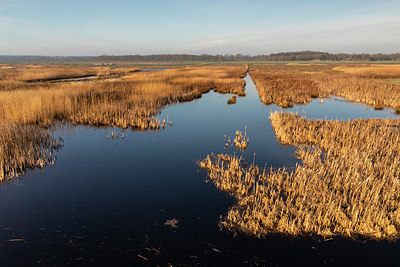BUITEN BEELD Foto: 345876