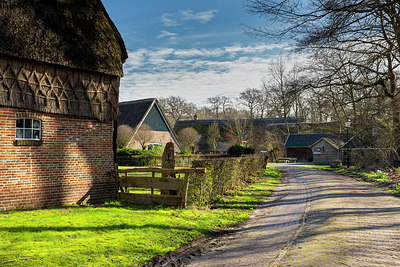BUITEN BEELD Foto: 345878