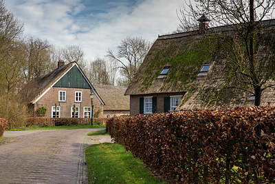BUITEN BEELD Foto: 345881