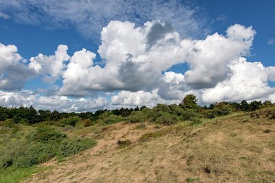 BUITEN BEELD Foto: 345913