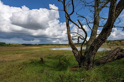 BUITEN BEELD Foto: 345916