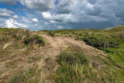 BUITEN BEELD Foto: 345925