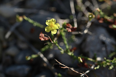 BUITEN BEELD Foto: 345931