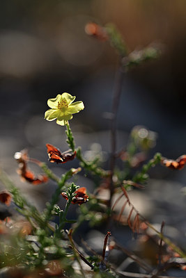 BUITEN BEELD Foto: 345932