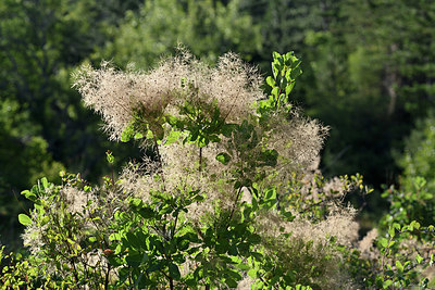 BUITEN BEELD Foto: 345941