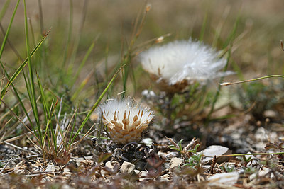 BUITEN BEELD Foto: 345953