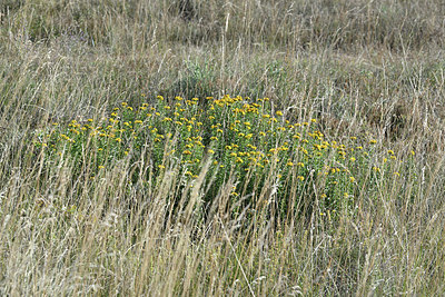 BUITEN BEELD Foto: 345977