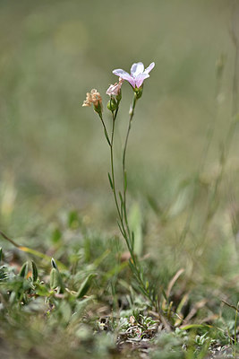 BUITEN BEELD Foto: 345994