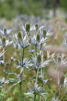 BUITEN BEELD Foto: 346001