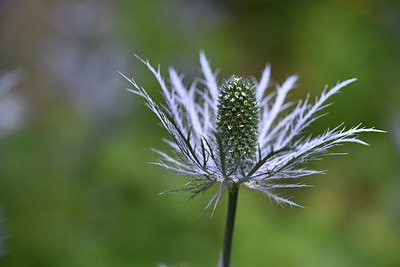 BUITEN BEELD Foto: 346010