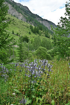 BUITEN BEELD Foto: 346064