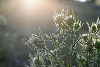 BUITEN BEELD Foto: 346074