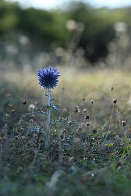 BUITEN BEELD Foto: 346083