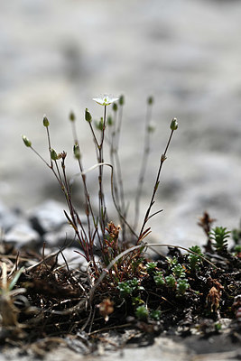 BUITEN BEELD Foto: 346134