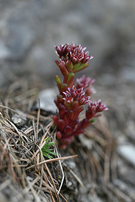 BUITEN BEELD Foto: 346159