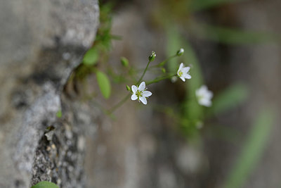 BUITEN BEELD Foto: 346190