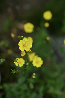 BUITEN BEELD Foto: 346223