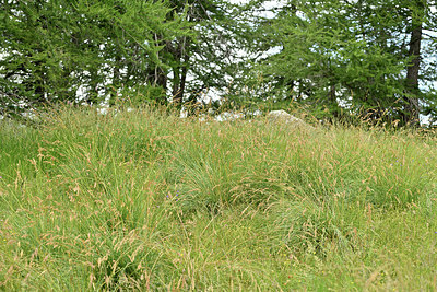 BUITEN BEELD Foto: 346232