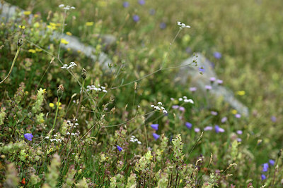 BUITEN BEELD Foto: 346252
