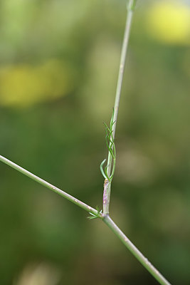 BUITEN BEELD Foto: 346254