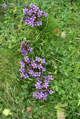 BUITEN BEELD Foto: 346264