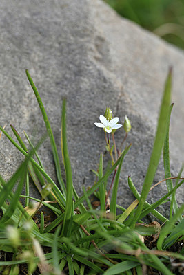 BUITEN BEELD Foto: 346273