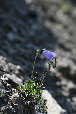 BUITEN BEELD Foto: 346285