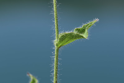 BUITEN BEELD Foto: 346300