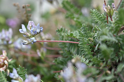 BUITEN BEELD Foto: 346307