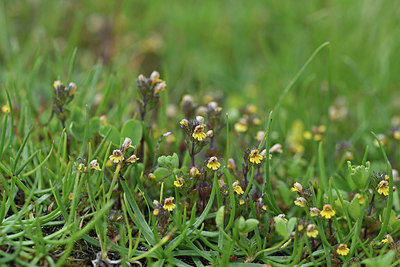 BUITEN BEELD Foto: 346327
