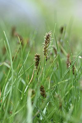 BUITEN BEELD Foto: 346329